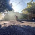 Asunción: intervención confirma irregularidades en Vialidad – Nacionales