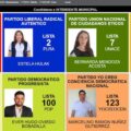 Elecciones municipales: Opositores del Senado pedirán unidad en distritos con candidaturas múltiples – Política