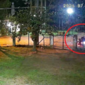 Video: asaltan a conductor de plataforma y le roban su motocicleta en Limpio – Policiales
