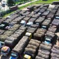 Troche: cañicultores advierten que la molienda de Petropar no da abasto para recibir la producción – Economía