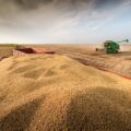 Soja: exportaciones de granos y derivados generan US$ 2.978 millones en el primer semestre – ABC Rural