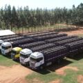 Transportistas de ganado temen que mezcla del biodiésel obligue a elevar costos – Economía