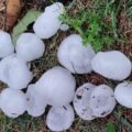 Meteorología confirma alta probabilidad de caída de granizos para esta noche: ¿en dónde? – Clima