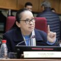 Cruzada Nacional tendrá candidato presidencial: Yolanda Paredes llama a la unidad en la oposición – Política