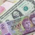 El guaraní se aprecia en un 23% y duplica la caída del Índice Dólar-DXY – Economía