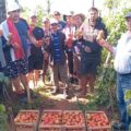 Agricultores de Itá piden combatir el contrabando de tomates – Economía