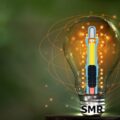 Dimensiones energéticas y geopolíticas de la cooperación nuclear – Economía