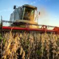 UGP advierte que nuevas normas de la UE pueden convertirse en barreras comerciales para Paraguay – Economía