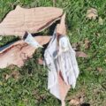Piden investigar destrucción de imagen de la Virgen de la Paz en Yataity – Nacionales