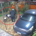 Villa Elisa: seis jóvenes fueron aprehendidos con una moto denunciada como robada – Policiales