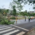 Mundial de Rally: bomberos atendieron emergencias tras temporal en Itapúa – Nacionales