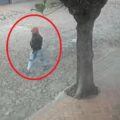 Barrio Herrera: capturan a sospechoso tras intentar entrar a viviendas, pero recupera su libertad – Policiales
