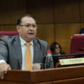 Título falso: Retamozo pide convocar al ministro y a otras autoridades del MEC para despejar dudas – Política