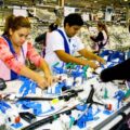 IPS alcanzó 24.618 cotizantes parciales en junio; crecimiento se moderó a 1,9% – Economía
