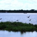 Nivel del río Paraguay cae a 1,25 metros en Asunción – Clima