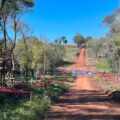 Rally del Paraguay: MOPC establece restricciones y horarios especiales para camiones en Itapúa – Nacionales