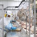 Freno a la carne brasileña en Europa: las ventajas y desventajas comerciales para Paraguay – Economía