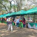 Expo Frutilla reúne a productores de Caaguazú y apuesta a fortalecer la comercialización – Nacionales