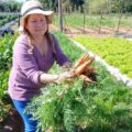De una pequeña huerta creada durante la pandemia a un emprendimiento familiar – Nacionales