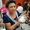 Castraciones de mascotas: habilitan canal exclusivo para familias vulnerables – Nacionales