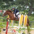 Club Hípico Asocab organiza competencia Interescuela, este sábado – Polideportivo
