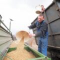 La crisis del cereal global: el nuevo bloqueo de granos en el Mar Negro – Economía